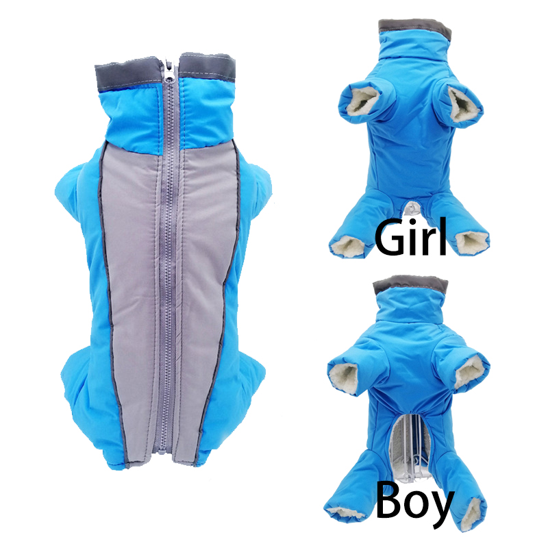 Winter Clothing In French - Zimowe ubrania dla psów Super ciepła