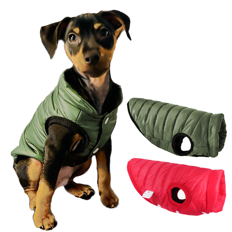 Ciepła kamizelka/płaszczyk dla – Winter Clothing In French recenzja i cena