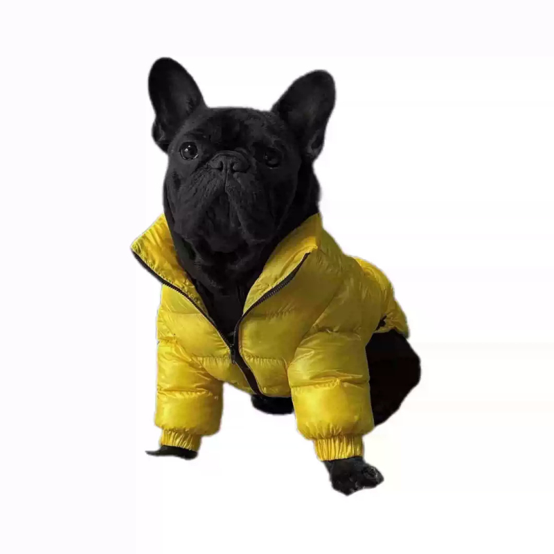 Płaszcz dla psa rasy mops, kur – Winter Clothing In French recenzja i cena
