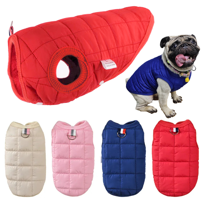Zimowa bawełniana kurtka dla z – Winter Clothing In French recenzja i cena